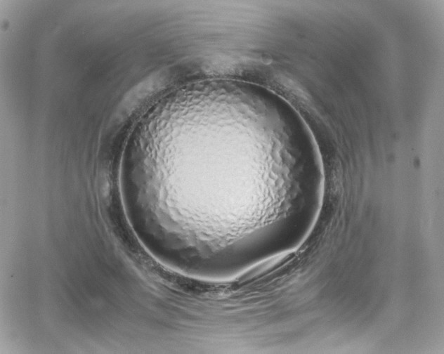 X0000066980687200603271234