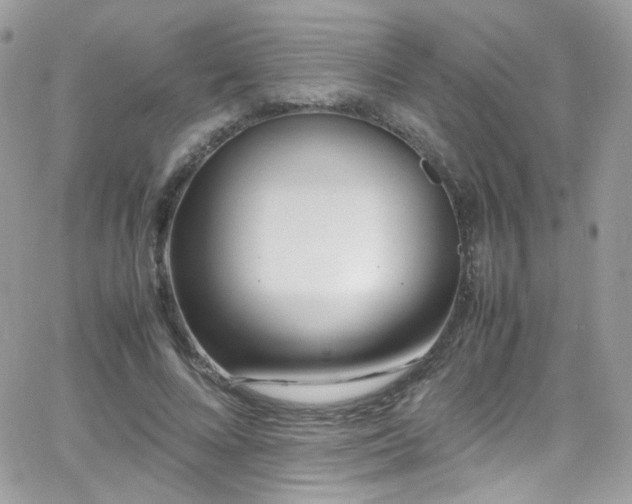 X0000066980688200603271234