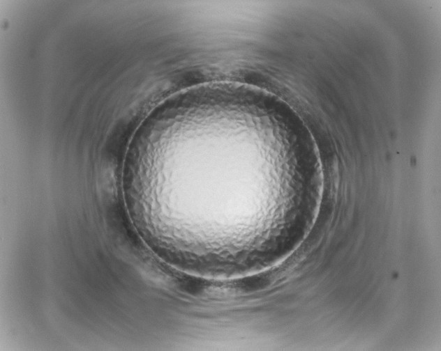 X0000066980699200603271234