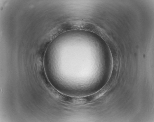 X0000066980707200603271234