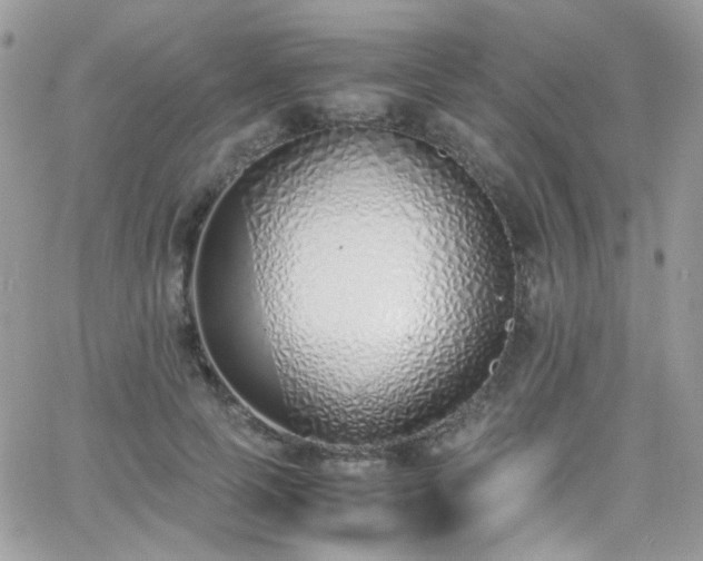 X0000066980745200603271233