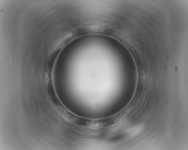X0000066980746200603271233
