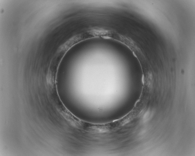X0000066980763200603271233