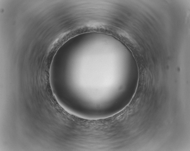 X0000066980776200603271233