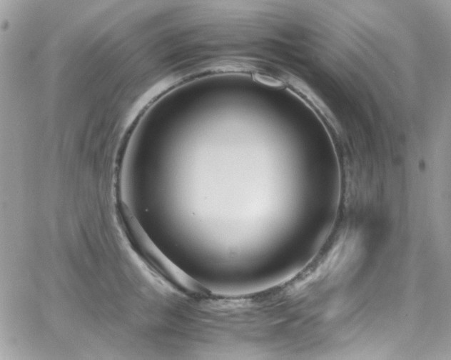 X0000066980853200603271232