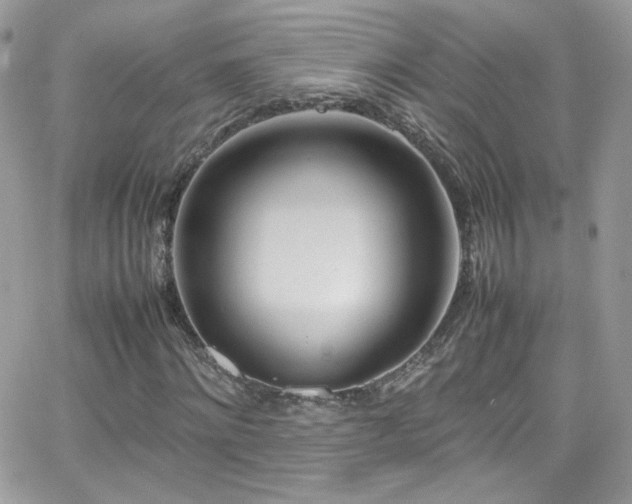 X0000066980868200603271231