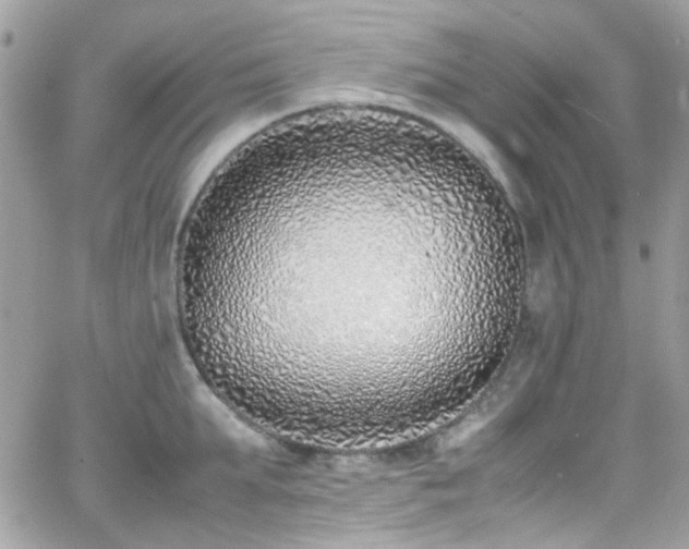 X0000066980903200603271230
