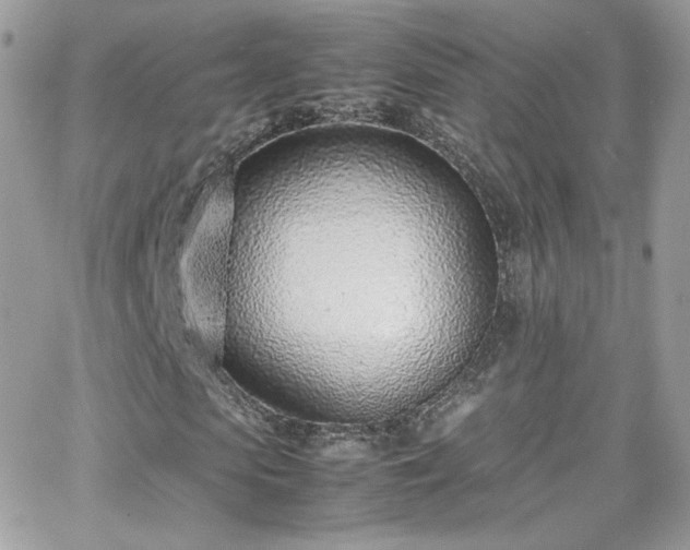 X0000066980913200603271229