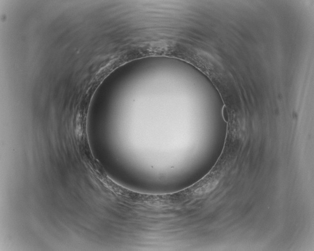 X0000066980962200603271229