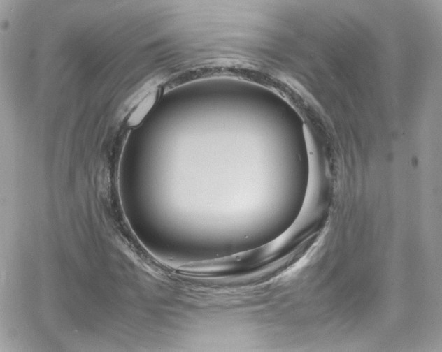X0000066980969200603271229