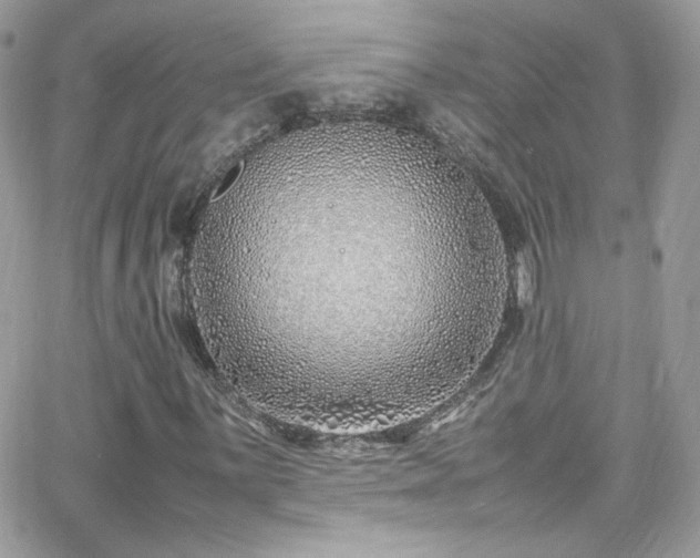 X0000066981059200603271228