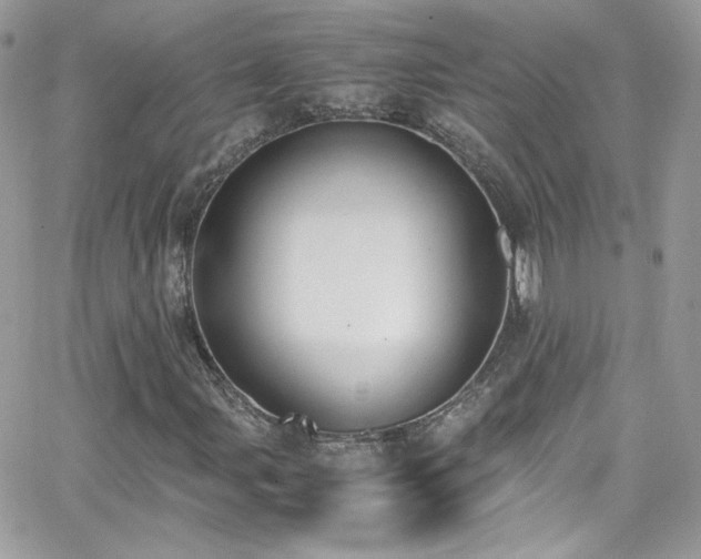 X0000066981107200603271226