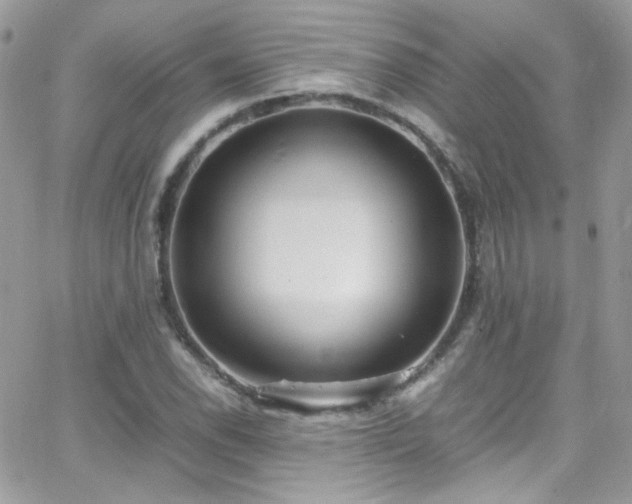 X0000066981118200603271226