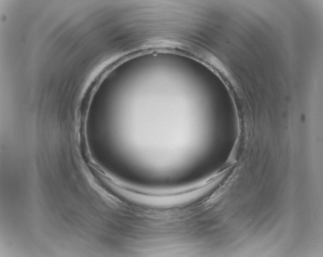 X0000066981124200603271227