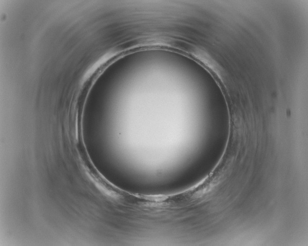 X0000066981127200603271227