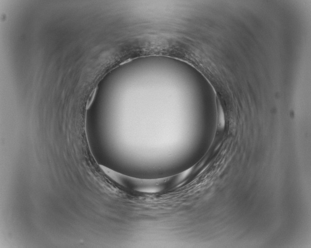 X0000066981153200603271226