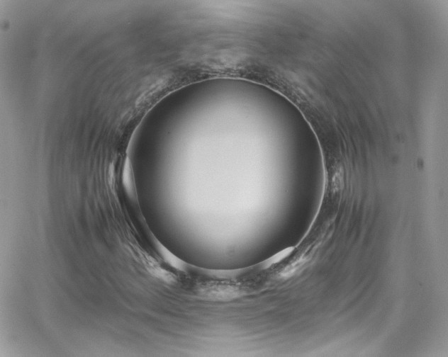 X0000066981156200603271226