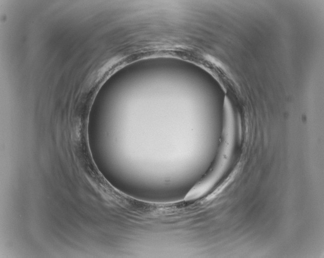 X0000066981161200603271226