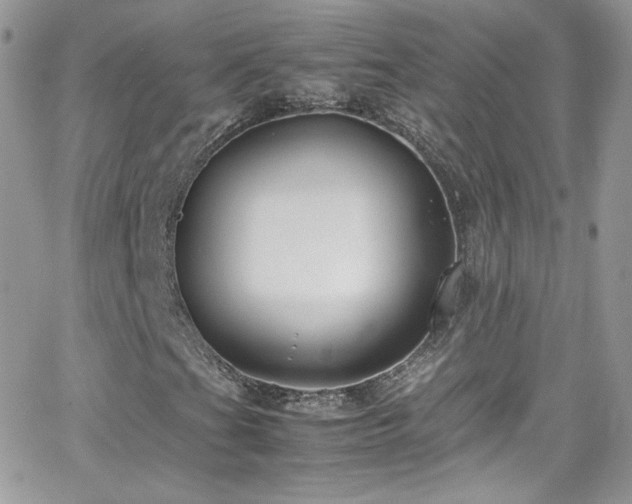 X0000066981201200603271225