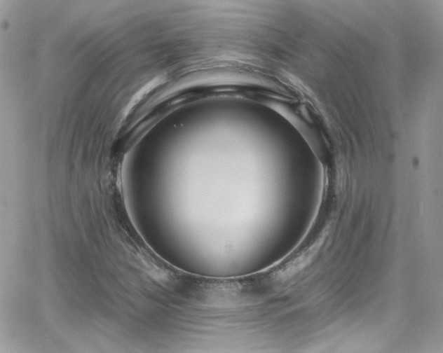 X0000066981210200603271225
