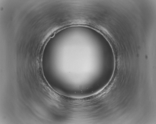 X0000066981212200603271225