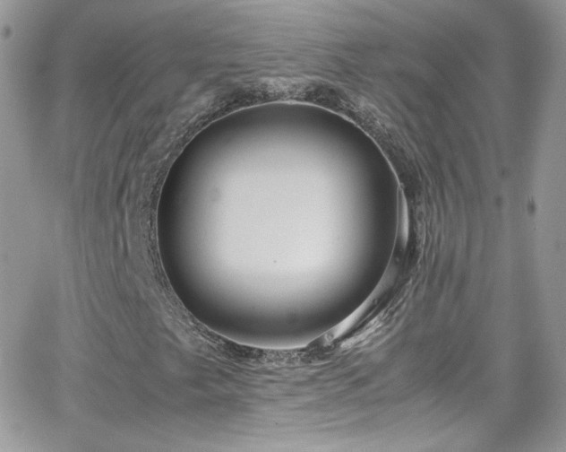 X0000066981249200603271225