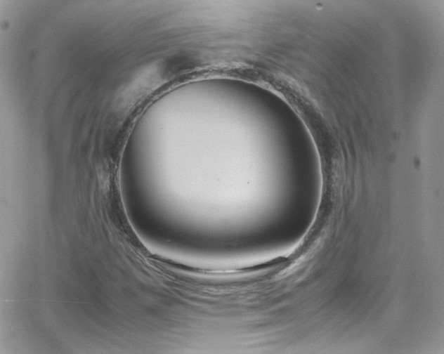 X0000066981257200603271224