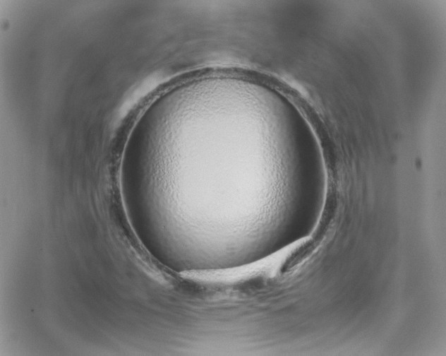 X0000066981263200603271224