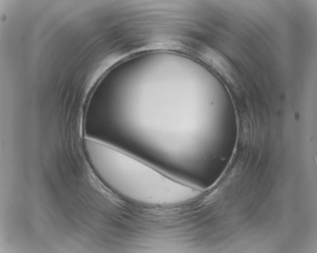X0000066981276200603271224