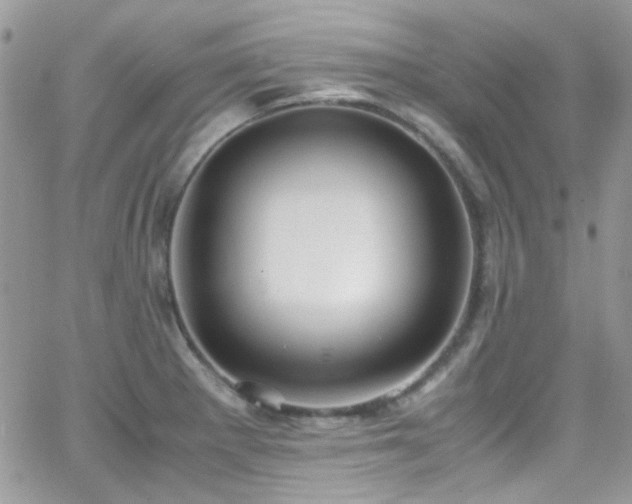 X0000066981281200603271224