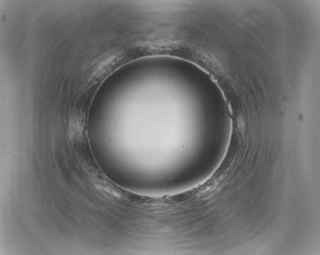 X0000066981300200603271223