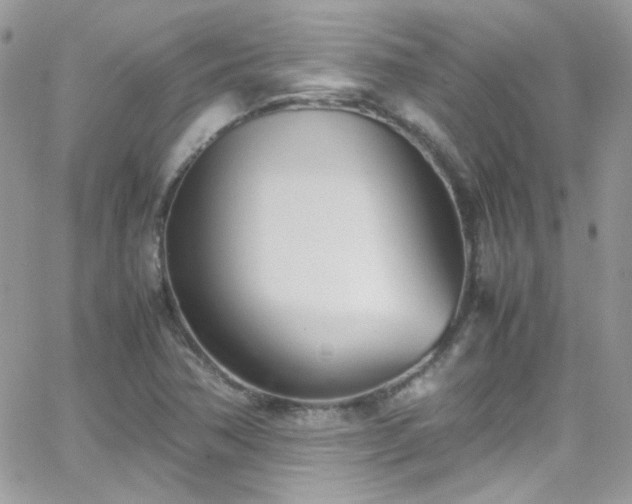 X0000066981362200603271223