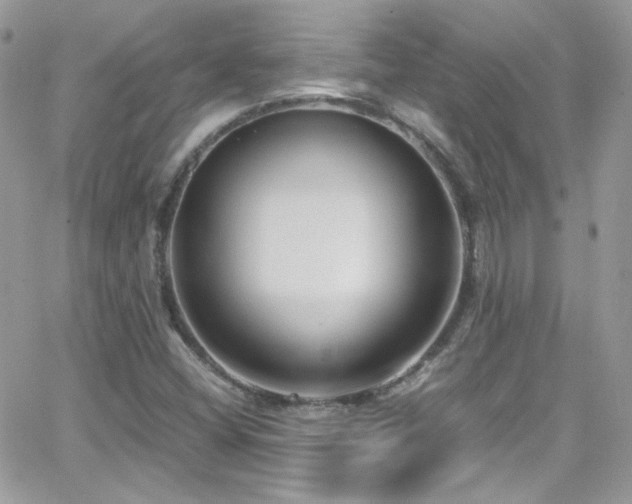 X0000066981404200603271222