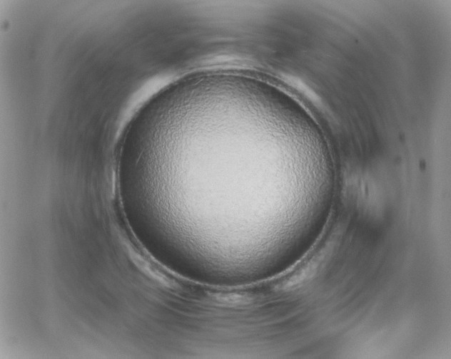 X0000066981413200603271222