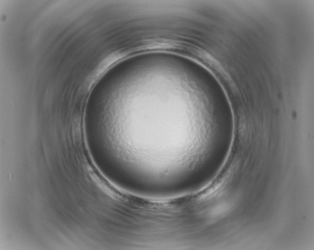 X0000066981417200603271222