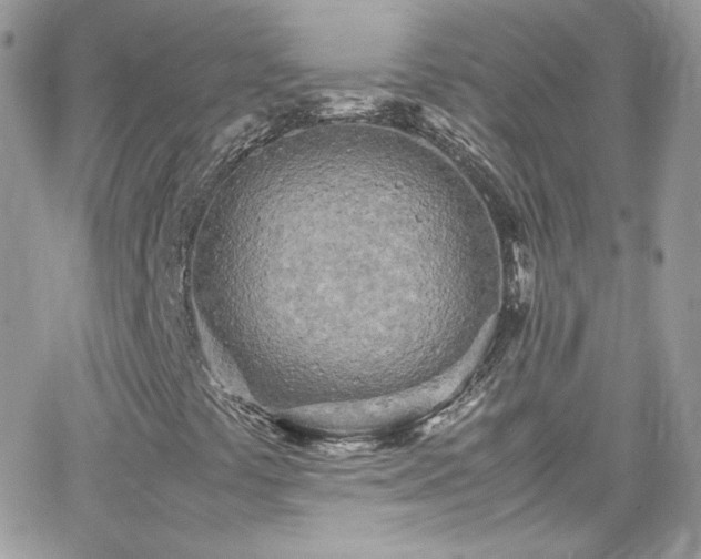 X0000066981441200603271221