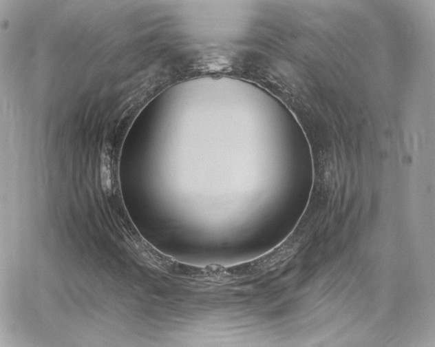 X0000066981442200603271221