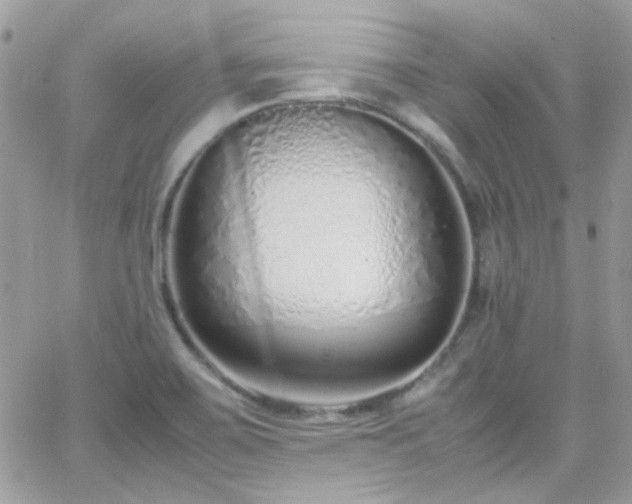 X0000066981467200603271221