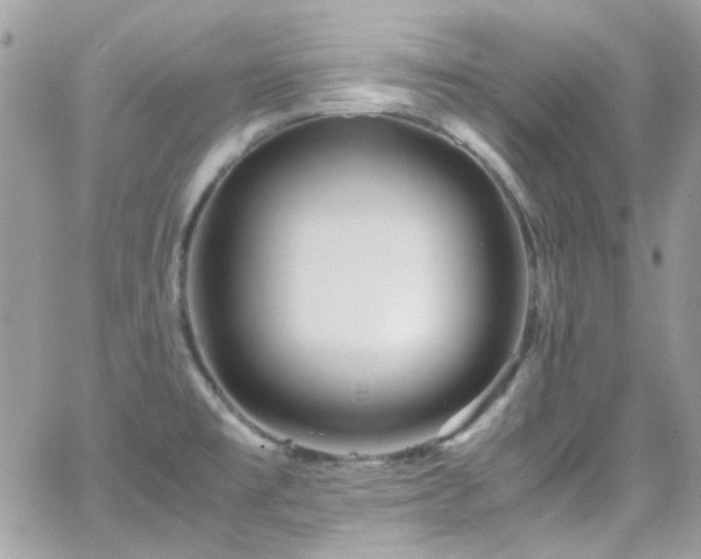 X0000066981477200603271221