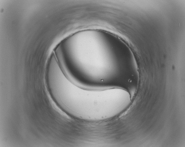 X0000066981518200603271220