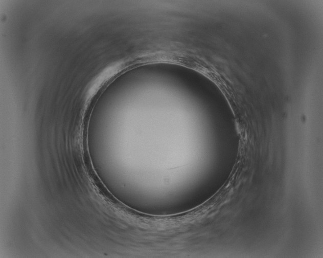 X0000066980006200603311536