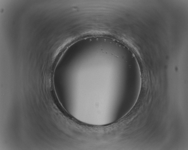 X0000066980015200603311536