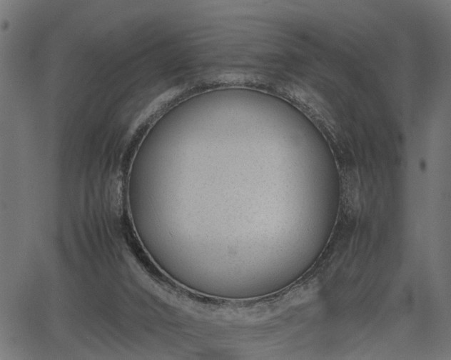 X0000066980016200603311536