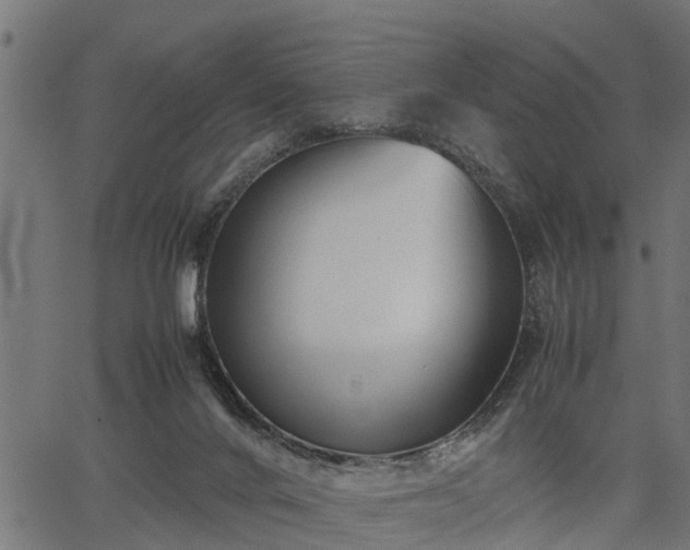 X0000066980024200603311535