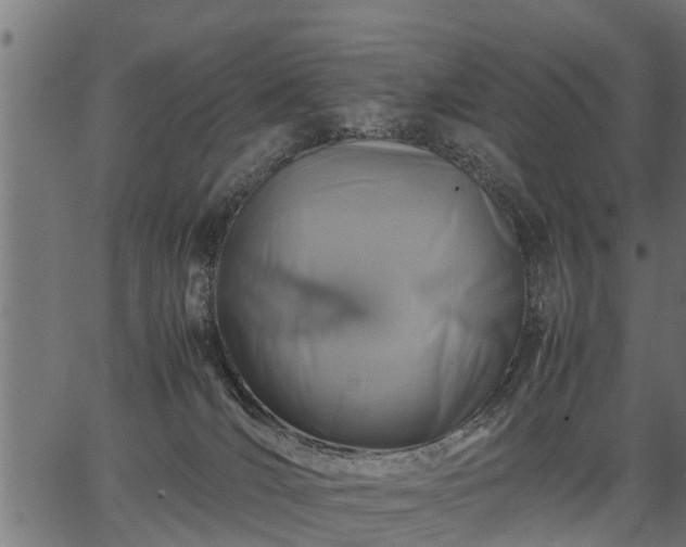 X0000066980036200603311535