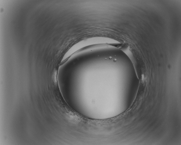 X0000066980041200603311535