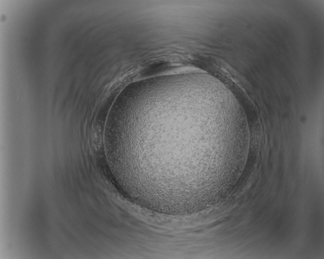 X0000066980043200603311535