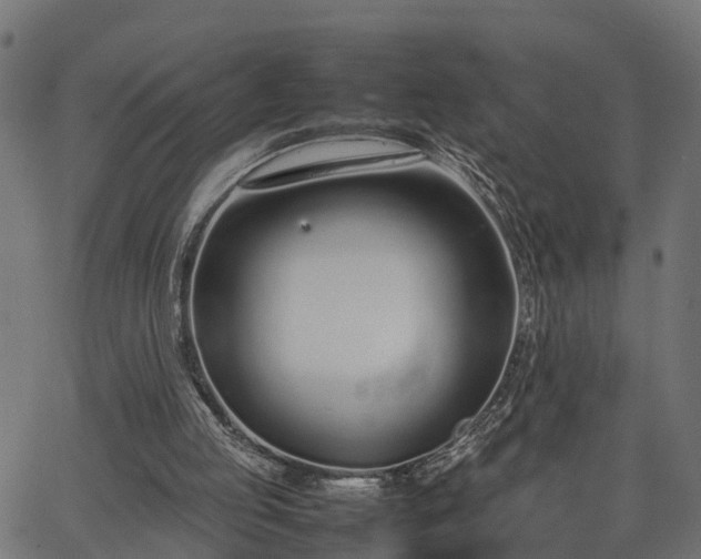 X0000066980053200603311534