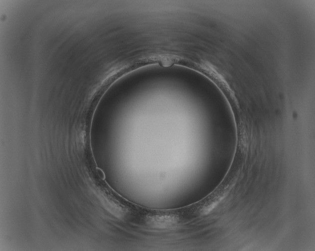 X0000066980063200603311534