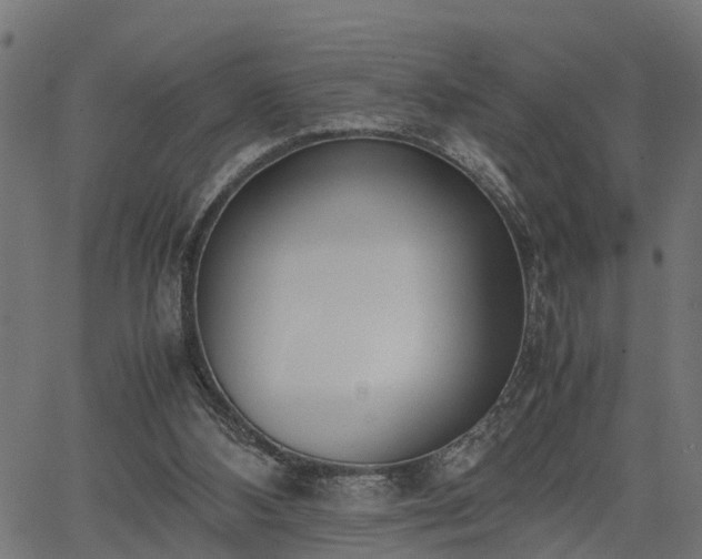 X0000066980108200603311534